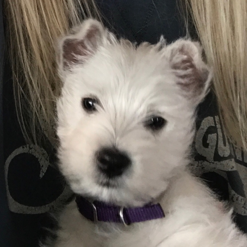 Meet your Posher, Beverly